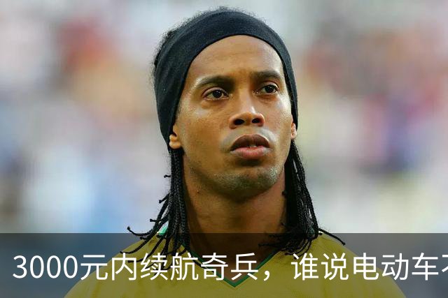 3000元内续航奇兵，谁说电动车不能跑得远？